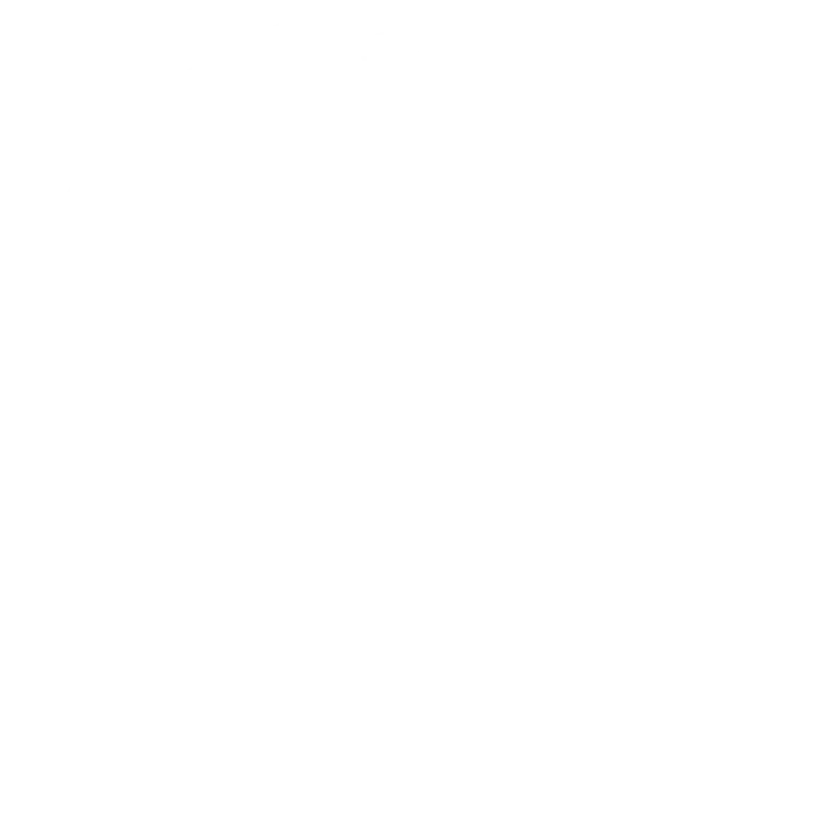 ISO 9001 Swiss Safety Center